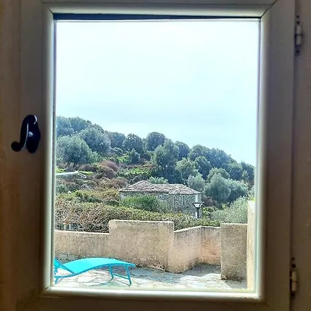 Location Corse * Canari