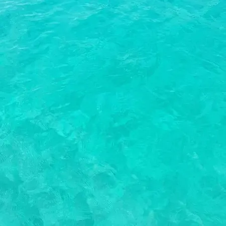 Appartement Location Corse Canari