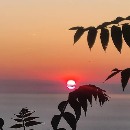 Location Corse * Canari