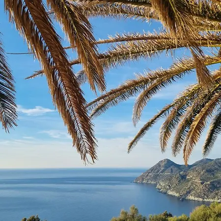 Appartement Location Corse Canari