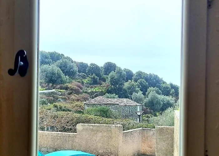 Location Corse * Canari