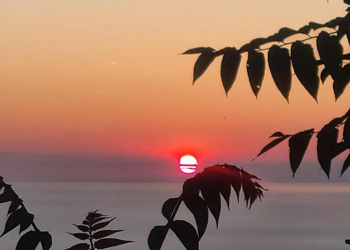 Location Corse * Canari